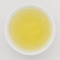 SENCHA